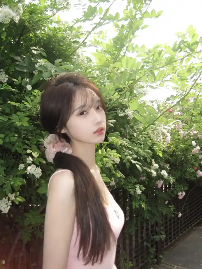 盗版网站流量分析图